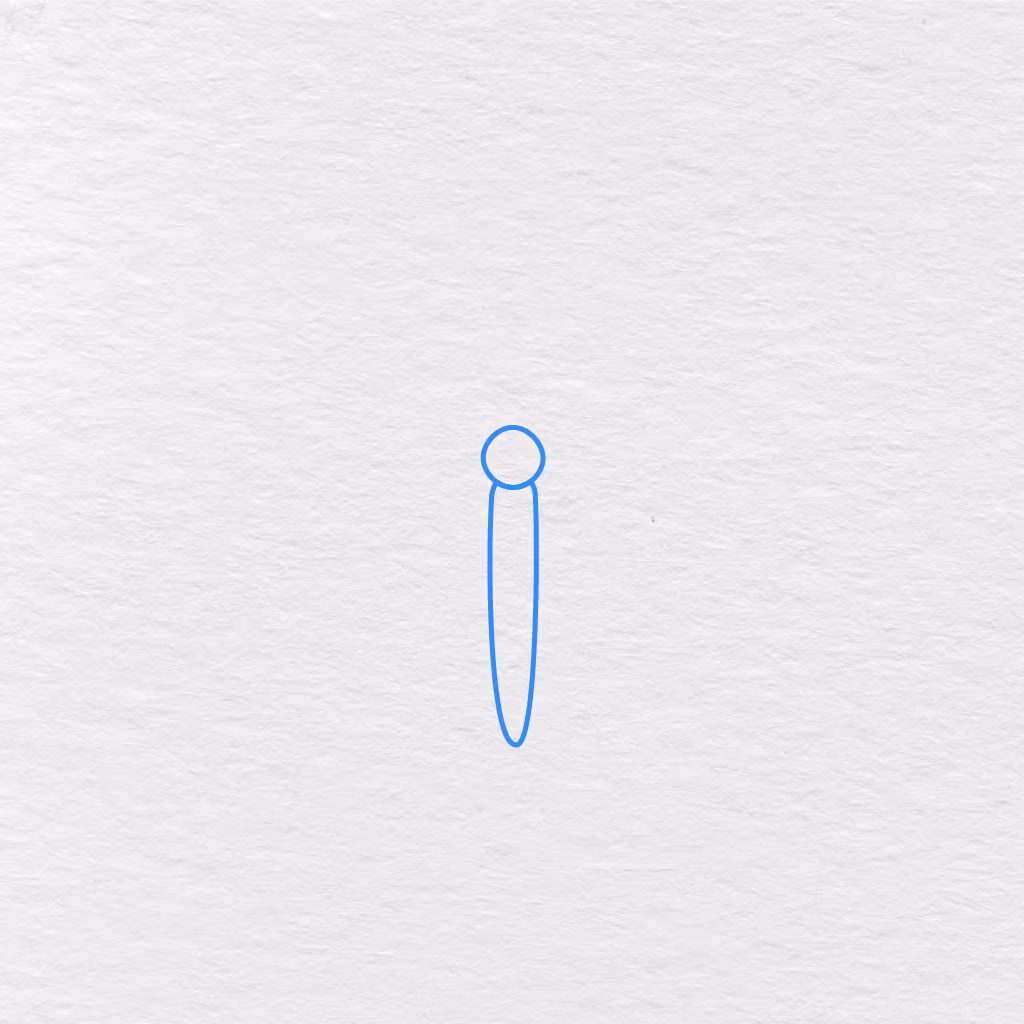 Step 1 Showing A Small Round Head And Slender Body Drawn For The Butterfly.