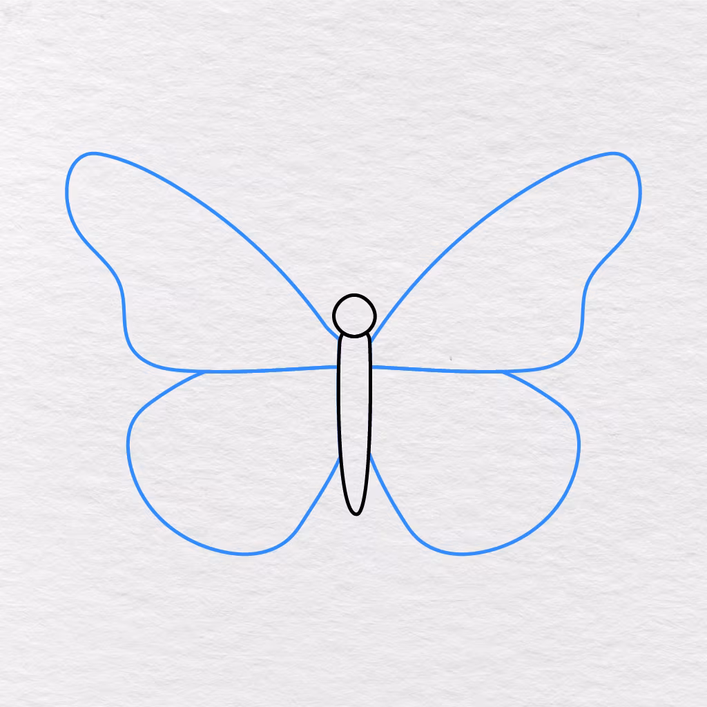 Step 3 Showing Matching Upper And Lower Wings Added On The Butterfly’s Left Side.