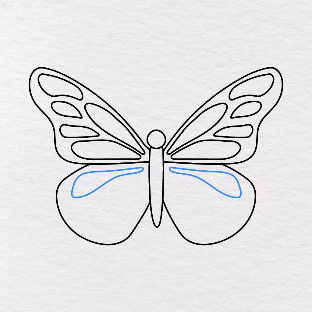 Step 9 Showing Long Curved Patterns Added Near The Top Edges Of Both Lower Wings.