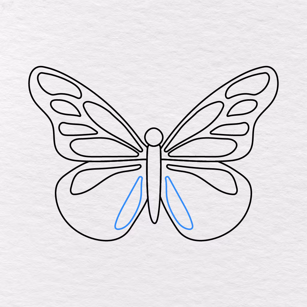 Step 10 Showing Narrow Curved Patterns Added Beside The Body Inside The Lower Wings.