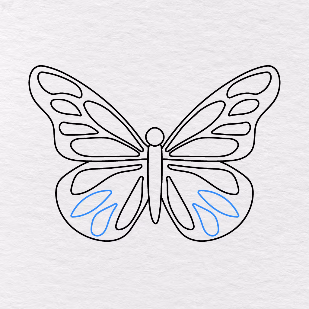 Step 11 Showing Two Rounded Patterns Added Inside The Outer Part Of Each Lower Wing.