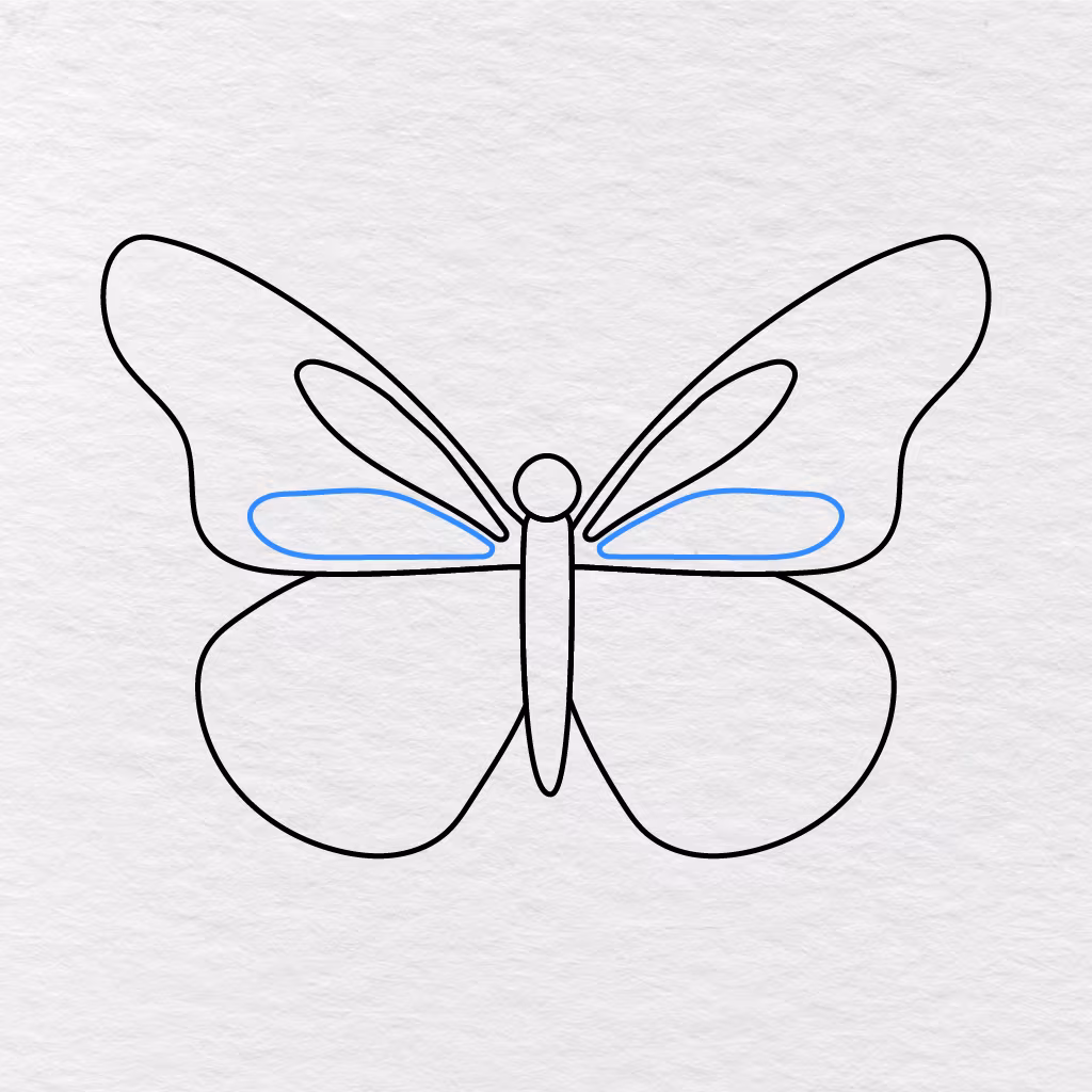 Step 5 Showing Another Pair Of Long Rounded Patterns Added Inside The Upper Wings.