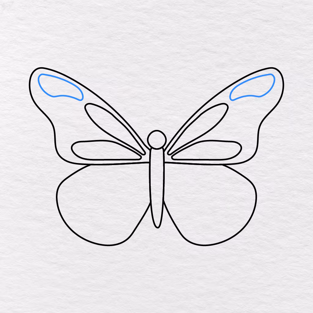 Step 6 Showing Rounded Patterns Added Near The Outer Edges Of The Upper Wings.