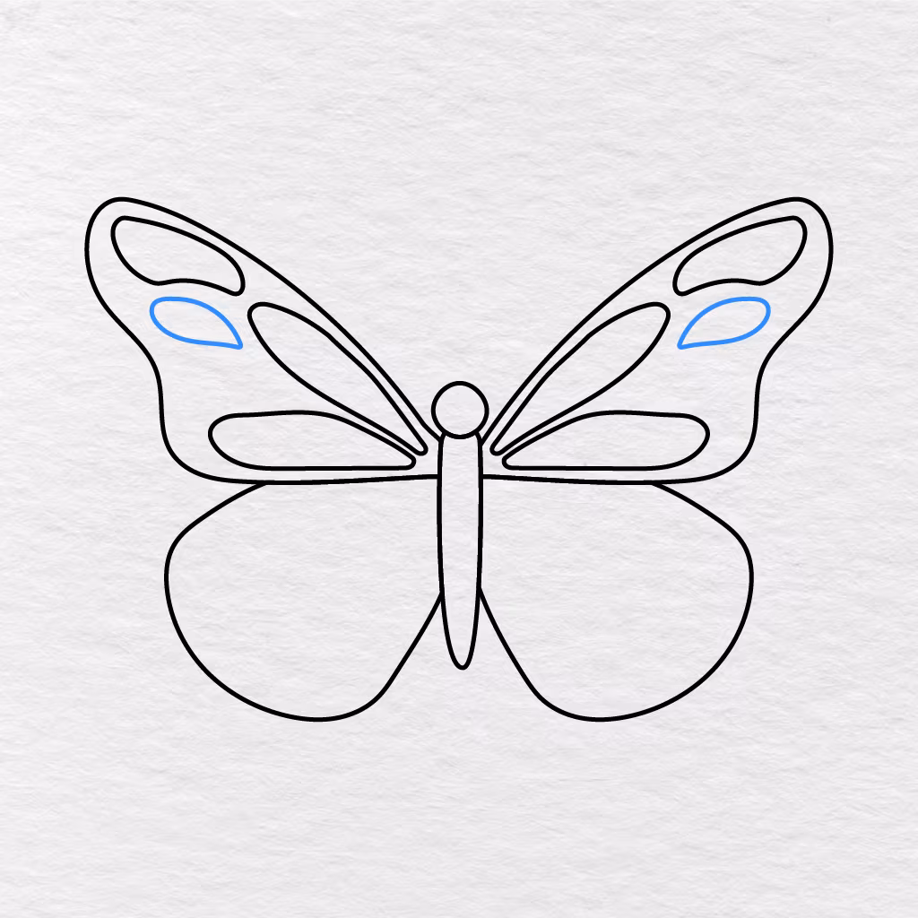Step 7 Showing Smaller Rounded Patterns Added Inside Both Upper Wings.