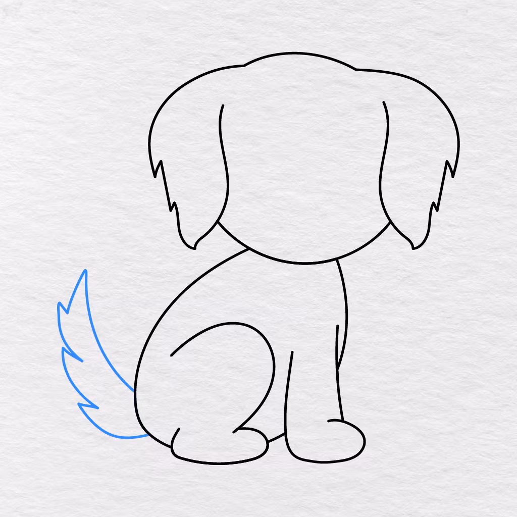 Step 5 Showing A Long Furry Tail Curving Upward Beside The Dog’s Body.