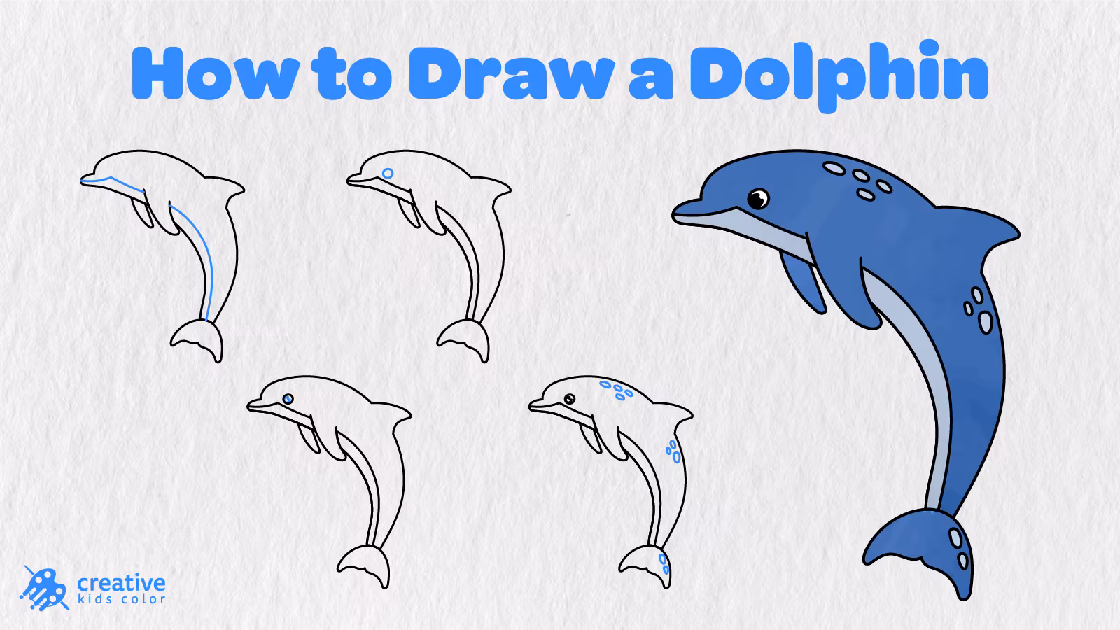 How To Draw A Dolphin Step By Step With Nine Simple Stages And A Finished Blue Dolphin Drawing.