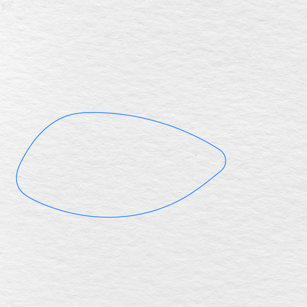 Step 1 Showing A Long Rounded Outline Drawn For The Fish’s Body.