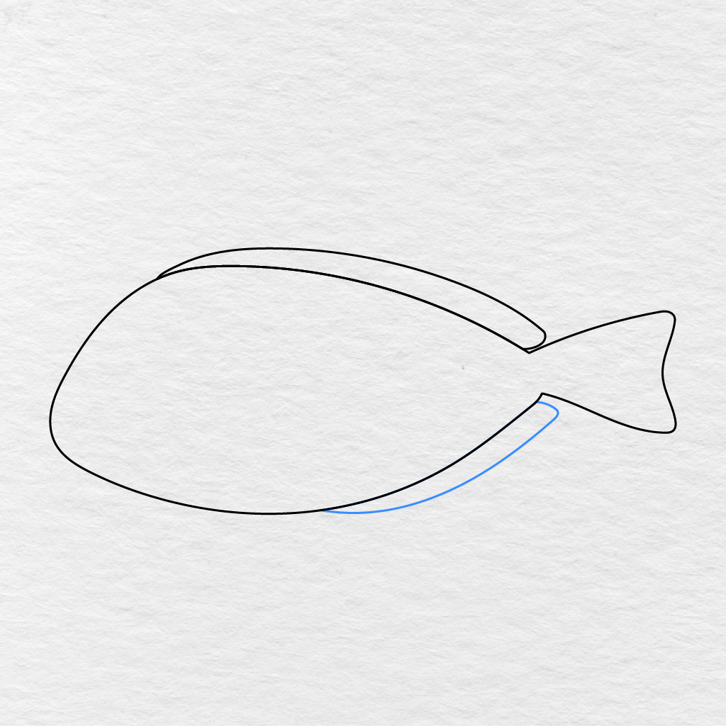 Step 4 Showing Another Long Curved Fin Added Along The Bottom Of The Fish.