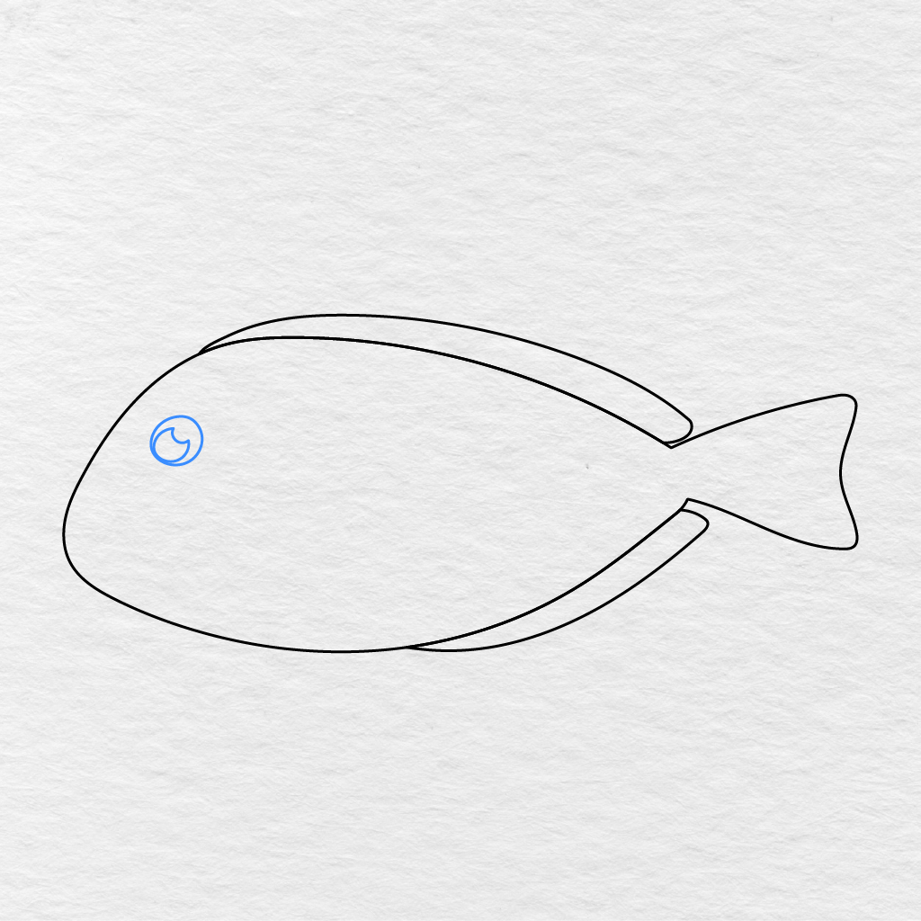 Step 5 Showing A Large Round Eye With A Small White Highlight Added To The Fish.