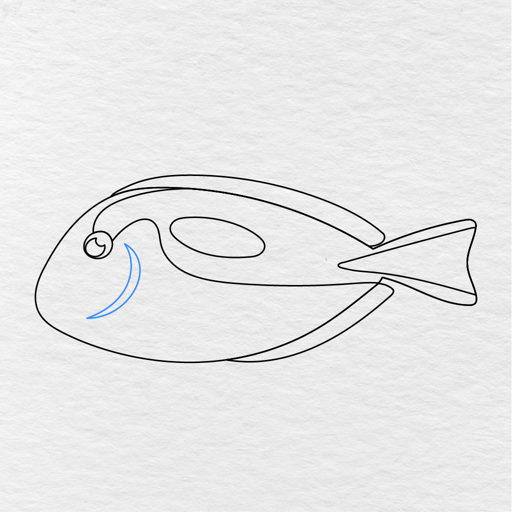 Step 9 Showing A Long Curved Gill Added Behind The Fish’s Eye.