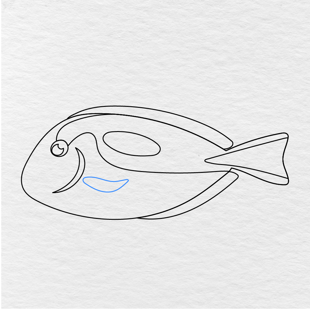 Step 10 Showing A Small Pointed Side Fin Added Below The Fish’s Gill.