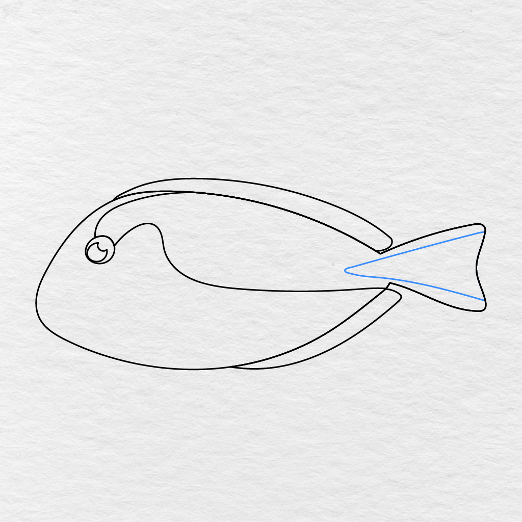 Step 7 Showing A Pointed Inner Detail Added Inside The Fish’s Tail.