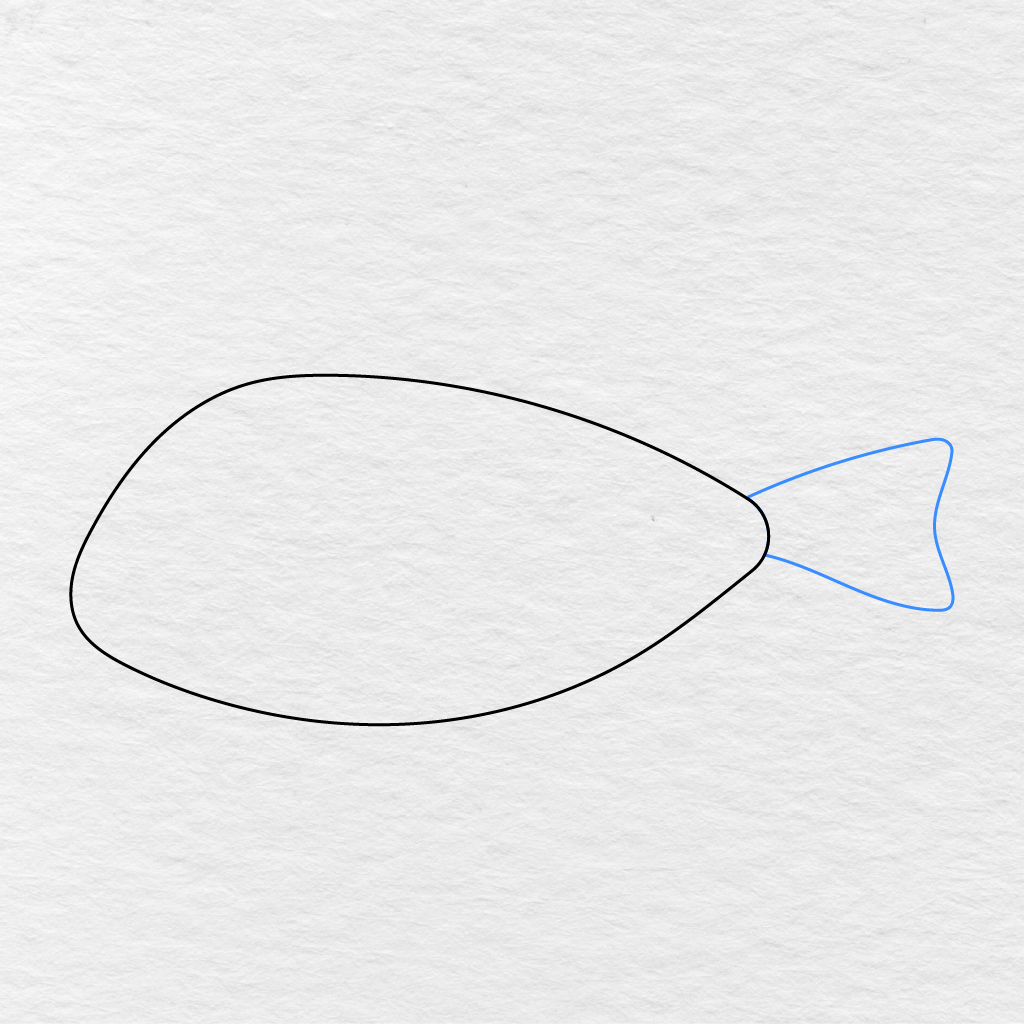 Step 2 Showing A Wide Pointed Tail Added To The Narrow End Of The Fish’s Body.