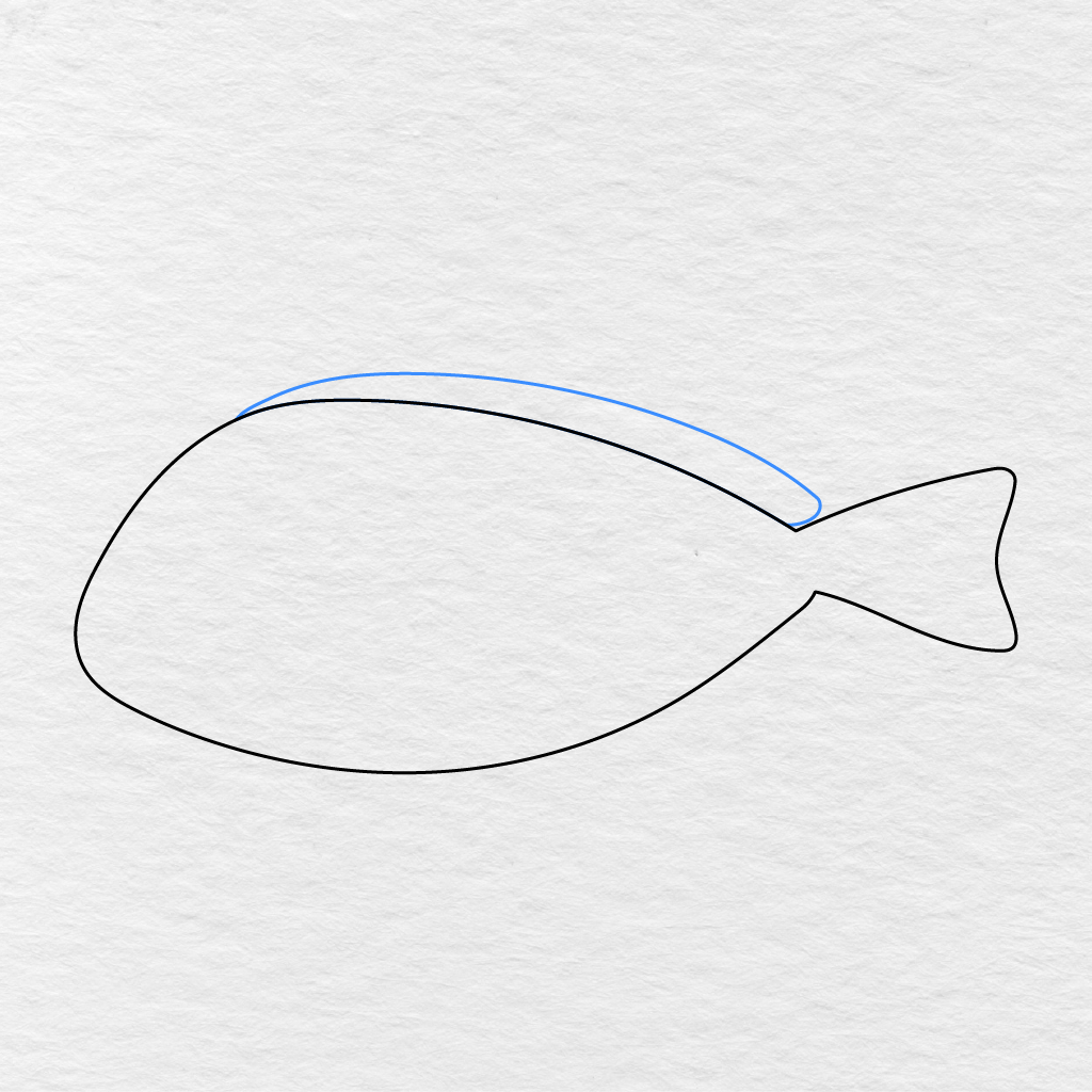 Step 3 Showing A Long Curved Fin Added Along The Top Of The Fish.