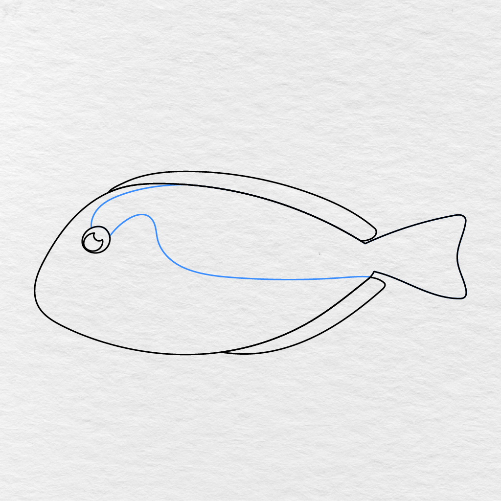 Step 6 Showing A Long Curved Pattern Added Across The Upper Part Of The Fish’s Body.