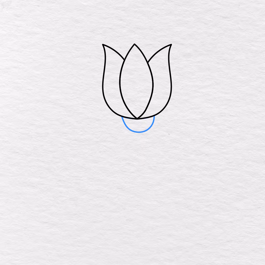 Step 4 Showing A Small Rounded Base Added Underneath The Three Flower Petals.