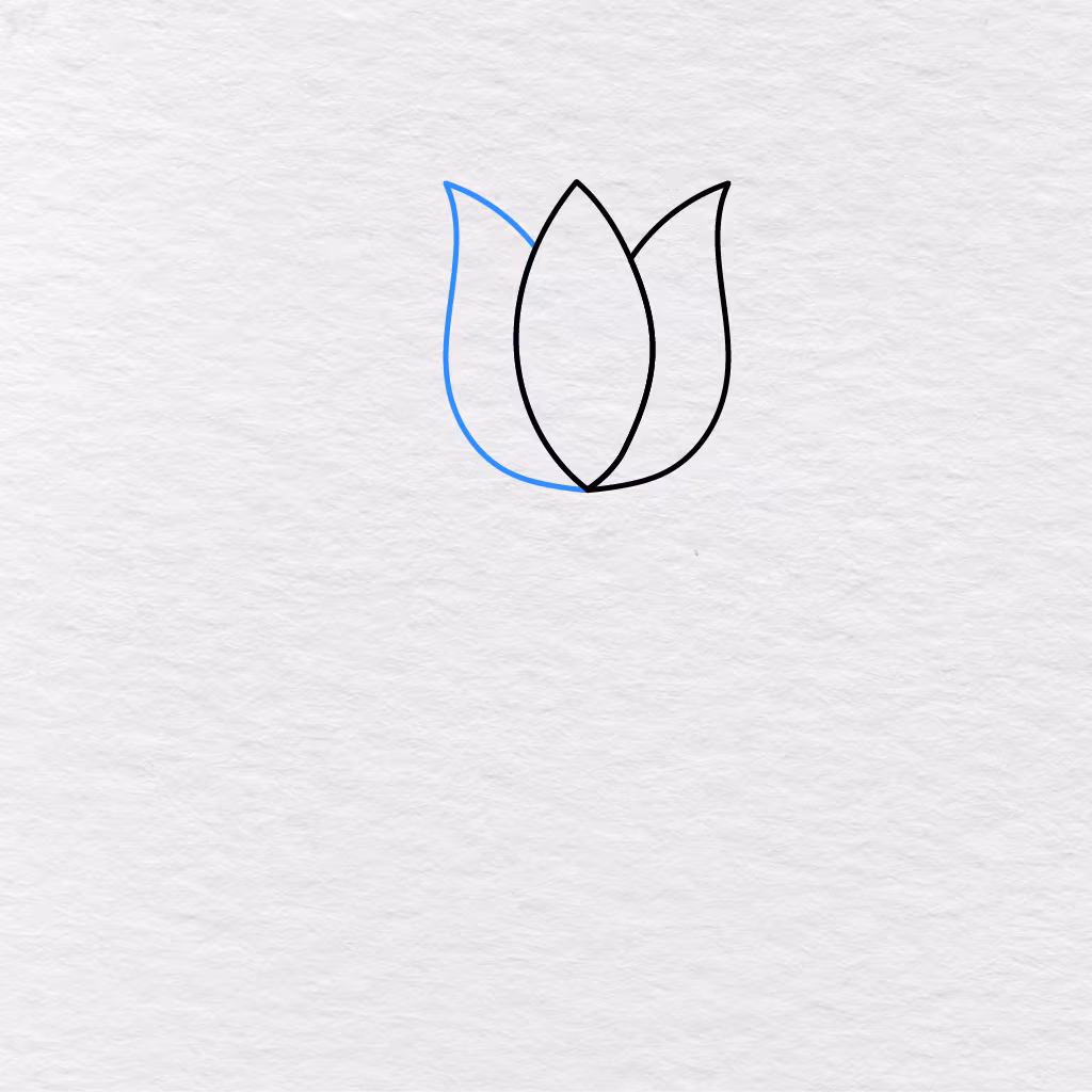 Step 3 Showing A Third Pointed Petal Added To The Left Side Of The Flower.