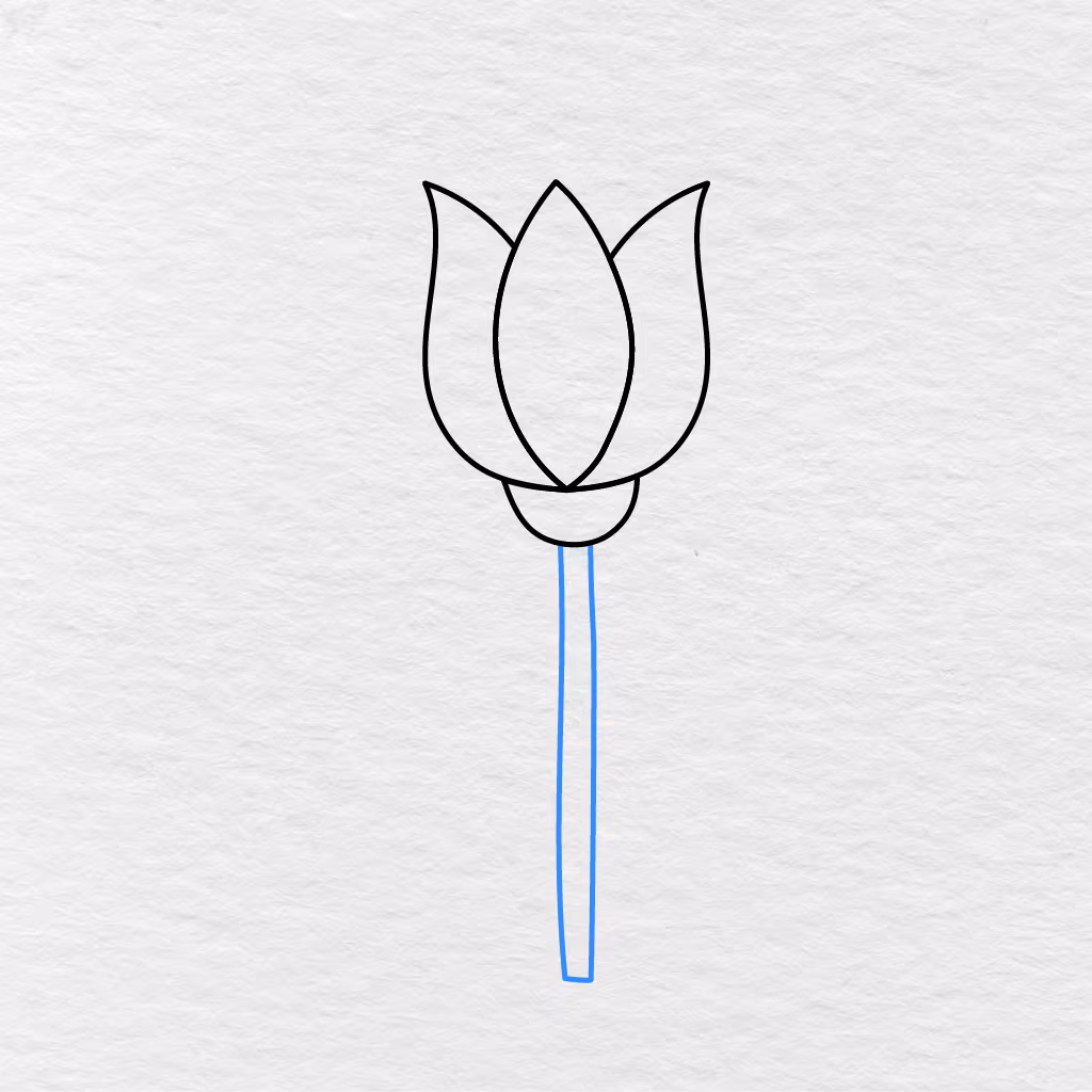 Step 5 Showing Two Long Parallel Lines Added To Create The Flower Stem.