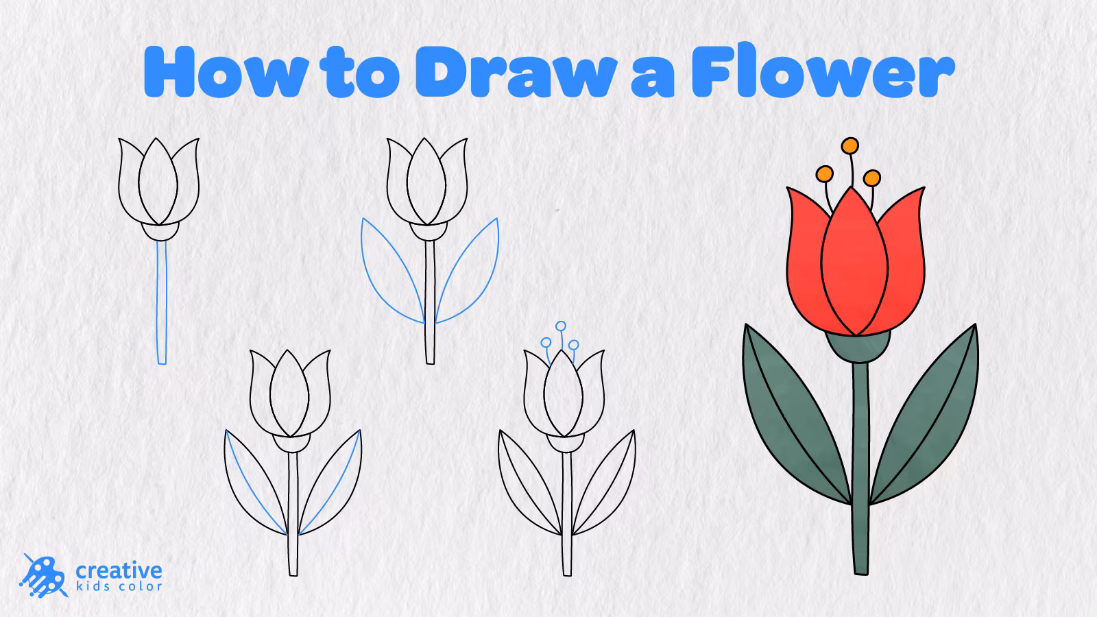 How To Draw A Flower Step By Step In 9 Easy Stages With A Finished Red Flower.