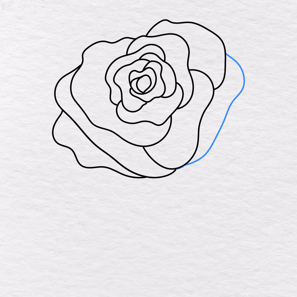 Step 9 Showing The Final Large Outer Petal Added To Complete The Rose Bloom.