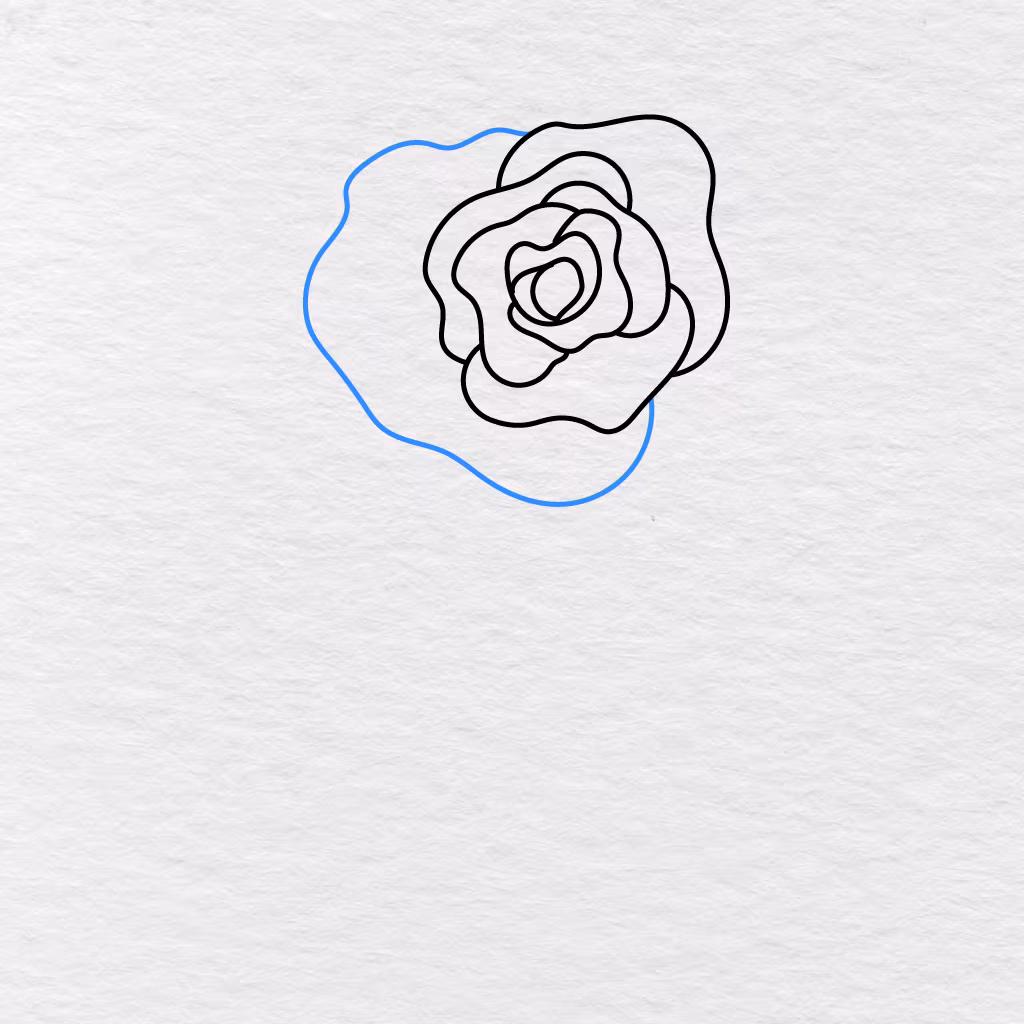 Step 6 Showing A Large Curved Outer Petal Added Around The Left And Lower Sides Of The Rose.