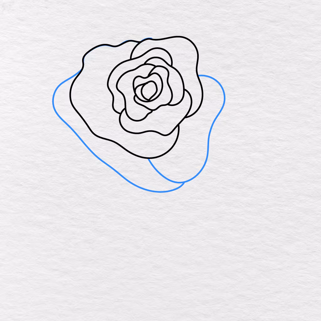 Step 7 Showing More Broad Outer Petals Added To Make The Rose Look Fuller.