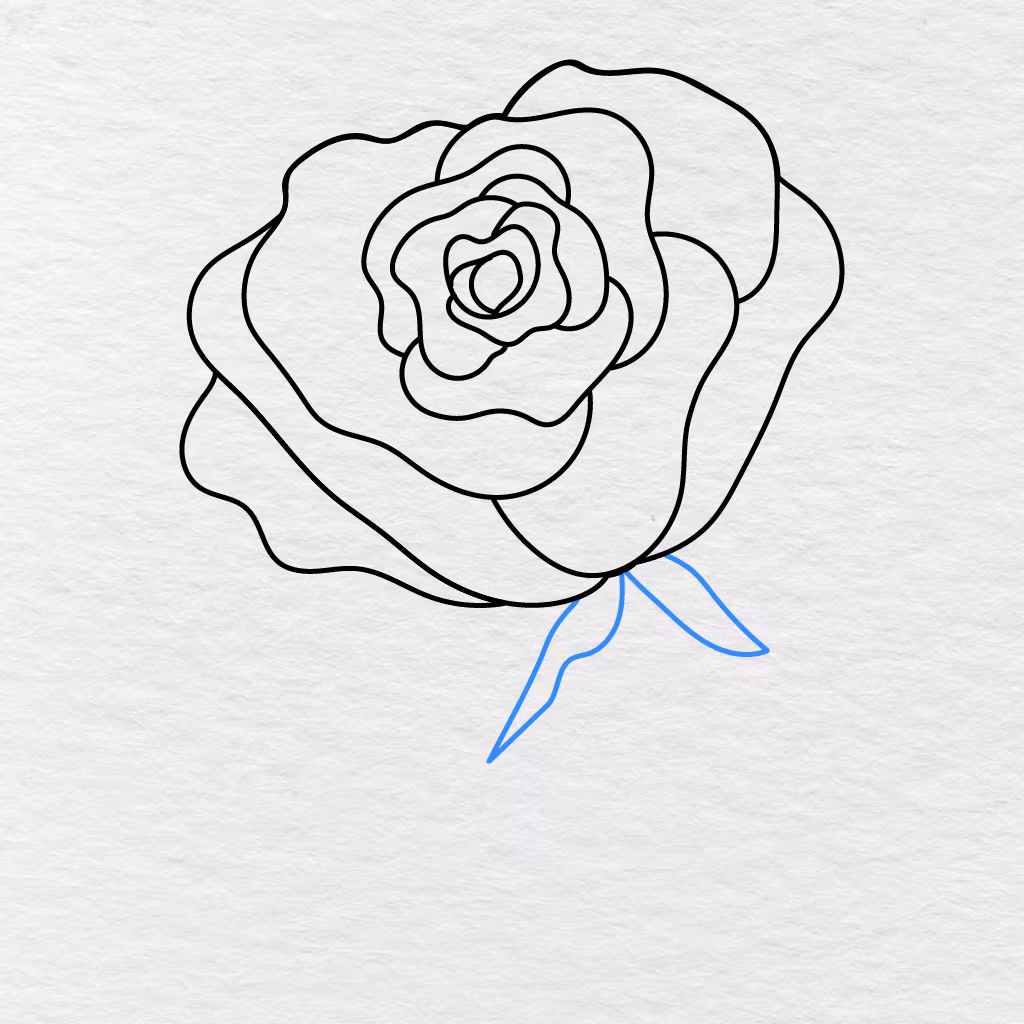 Step 10 Showing Three Pointed Sepals Added Underneath The Rose.