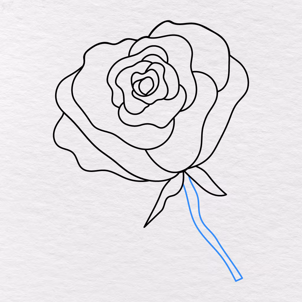 Step 11 Showing A Long Curved Stem Added Below The Rose And Its Sepals.