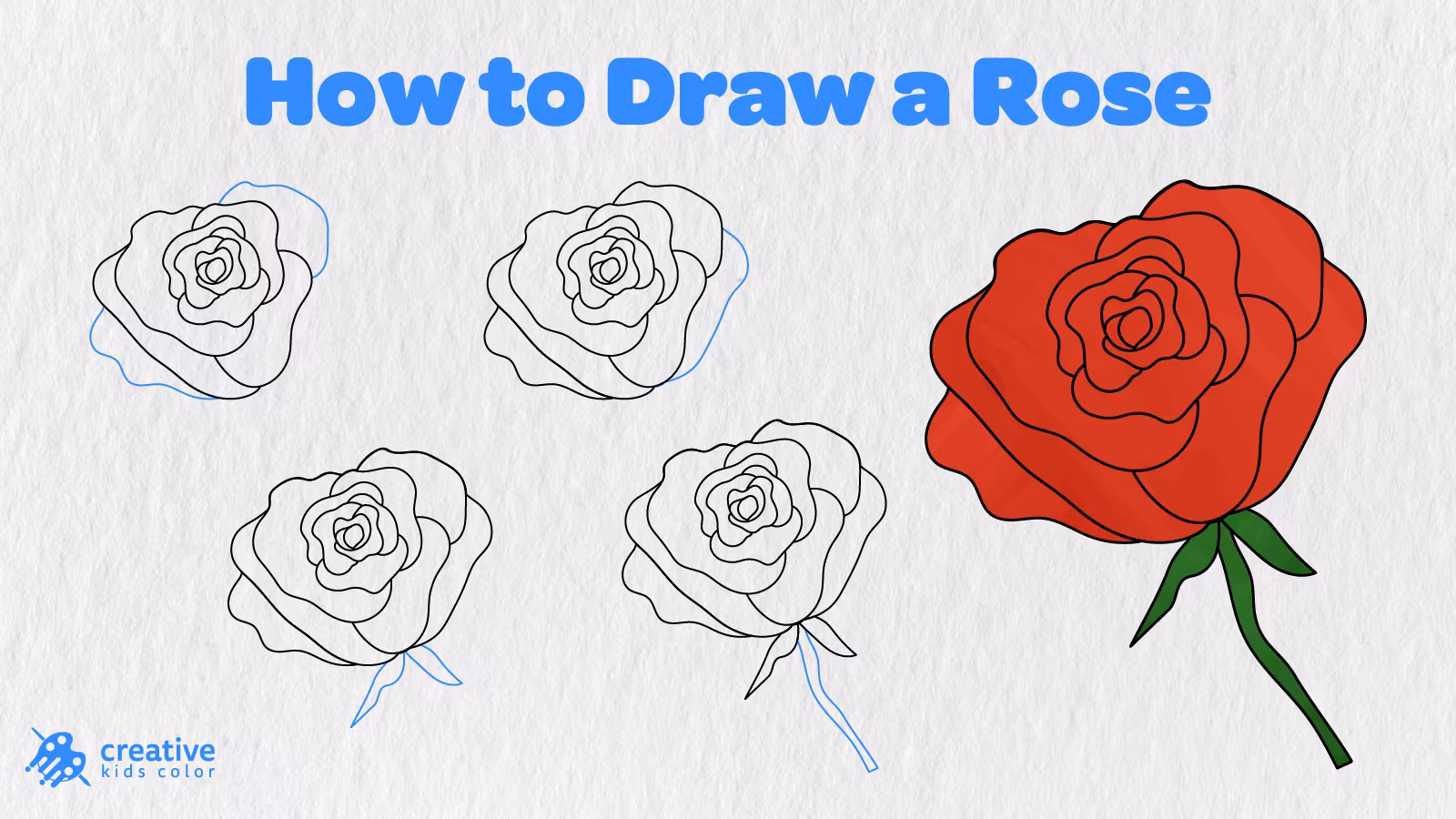 How To Draw A Rose Step By Step In 12 Easy Stages With A Finished Red Rose.