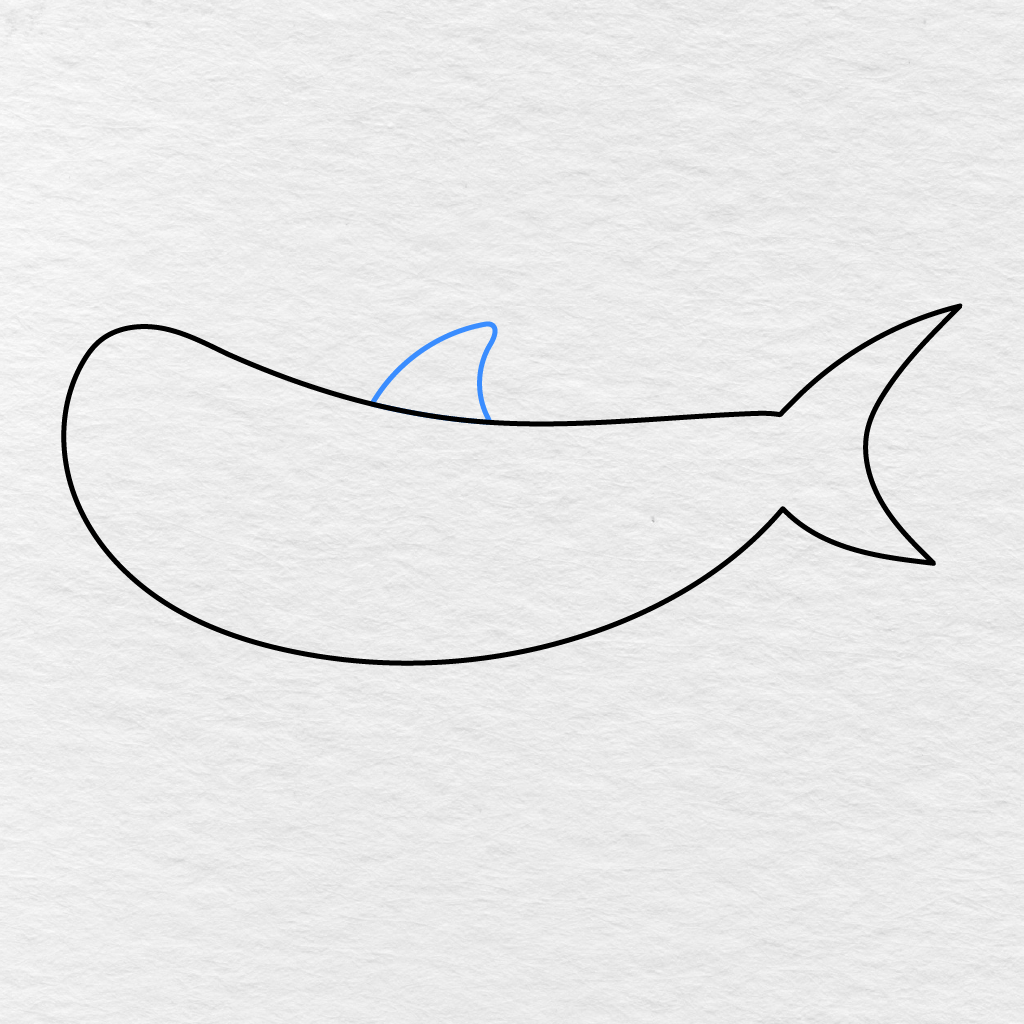 Step 3 Showing A Curved Triangular Dorsal Fin Added To The Shark’s Back.