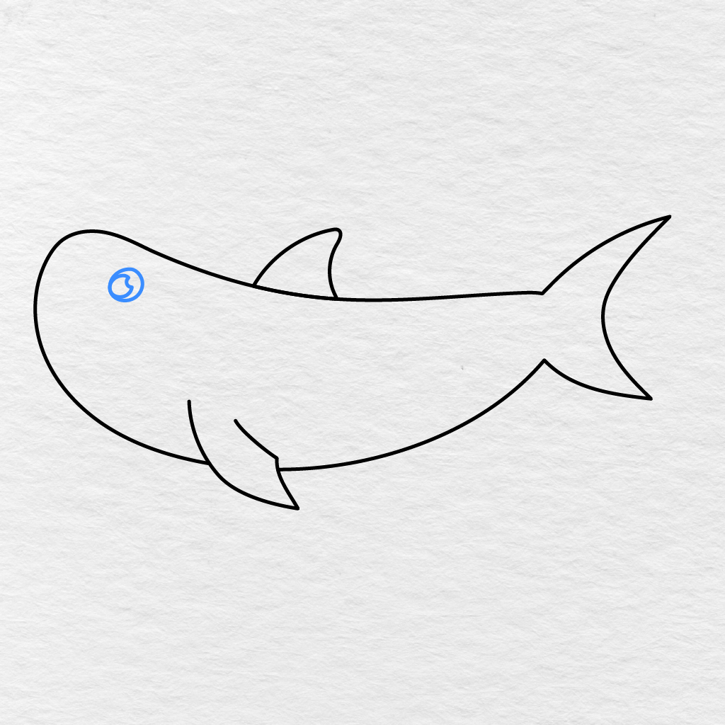 Step 5 Showing A Rounded Eye With A Small White Highlight Added To The Shark.