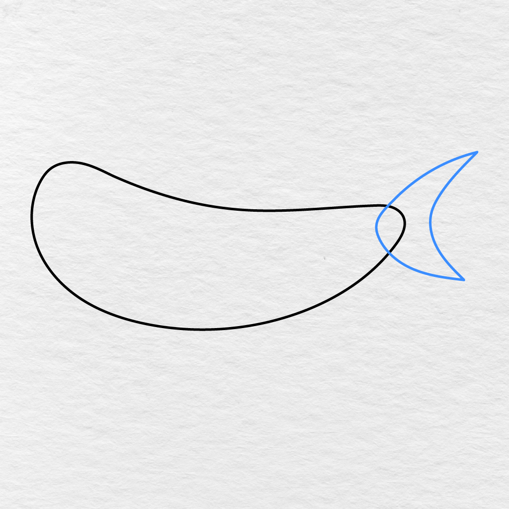 Step 2 Showing A Large Pointed Tail Added To The Back Of The Shark’s Body.
