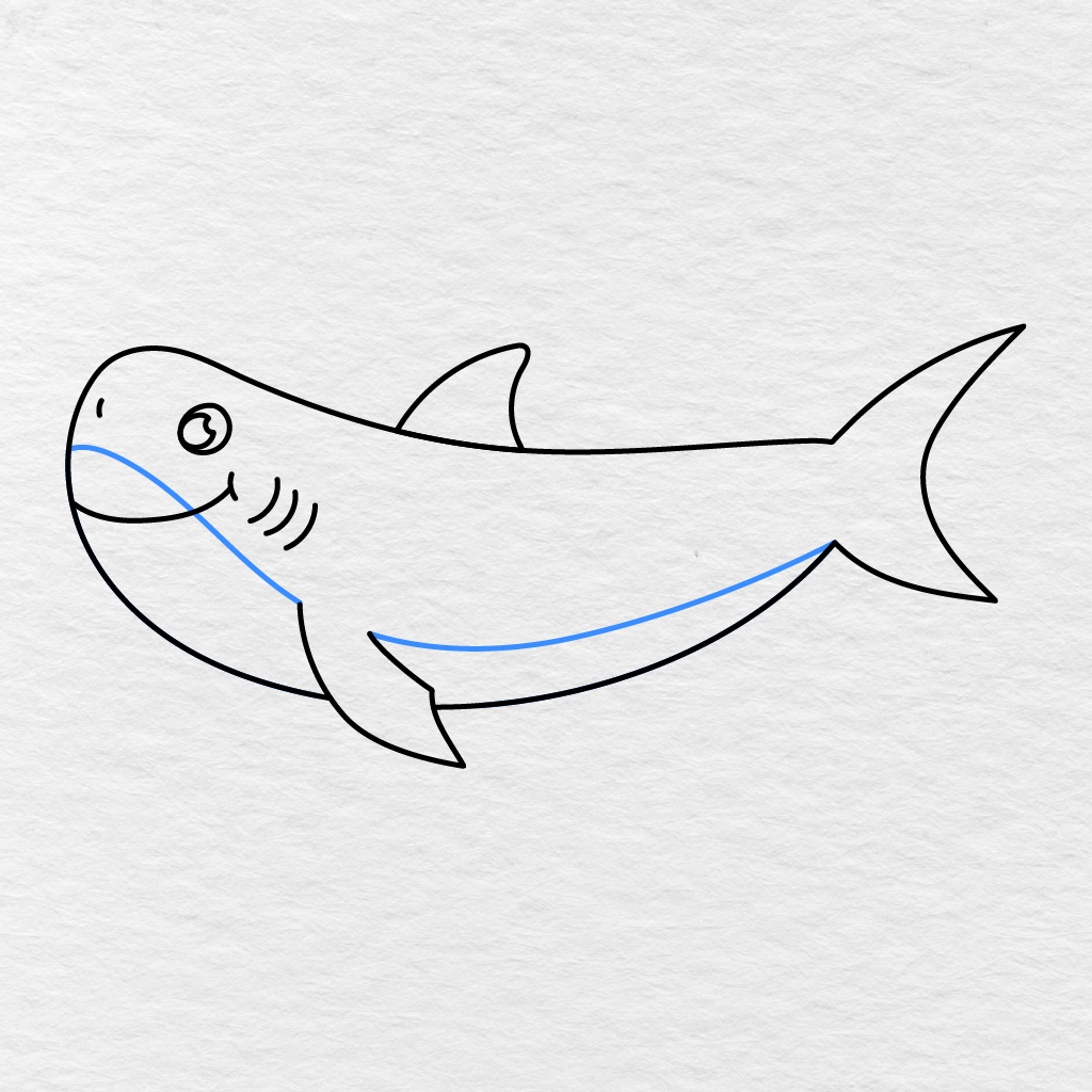 Step 9 Showing Two Curved Lines Added To Separate The Shark’s Lighter Underbelly.