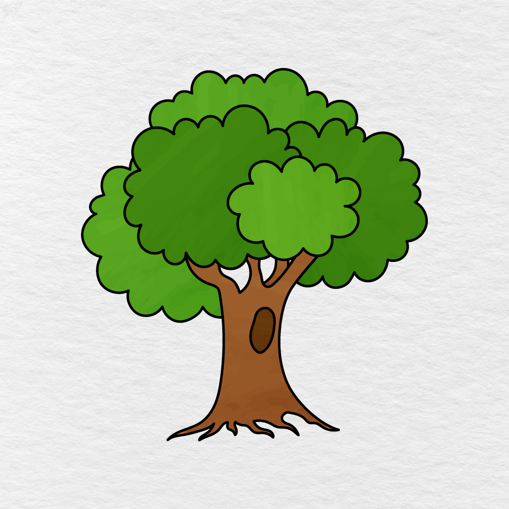 Step 10 Showing The Finished Tree Colored With Green Leaves, A Brown Trunk, And A Dark Brown Knot.