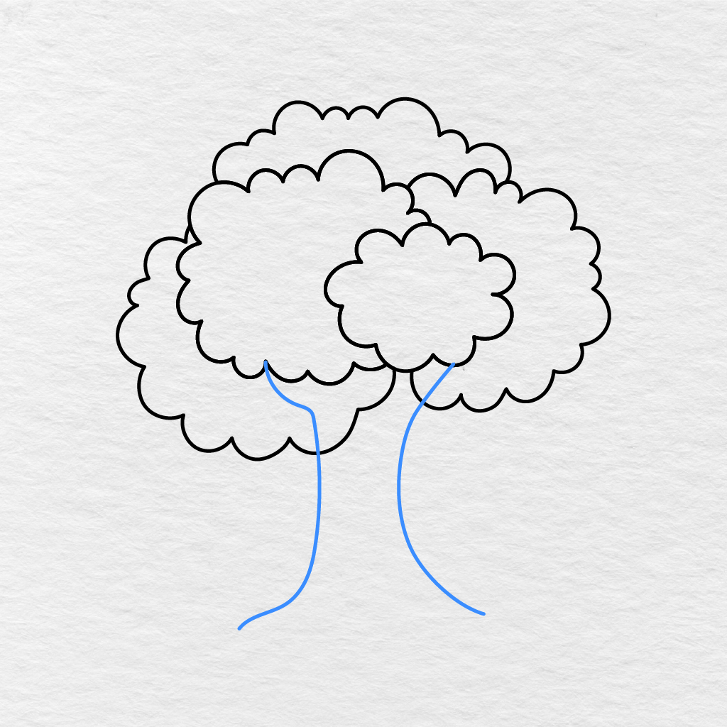 Step 6 Showing Two Long Curved Lines Drawn Beneath The Leaves To Form The Tree Trunk.