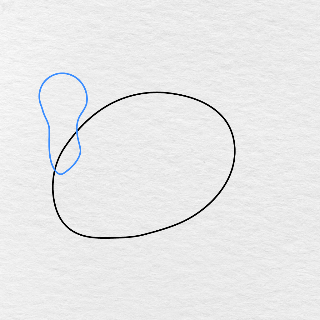 Step 2 Showing The Turkey’s Rounded Head And Long Curved Neck Added To The Body.