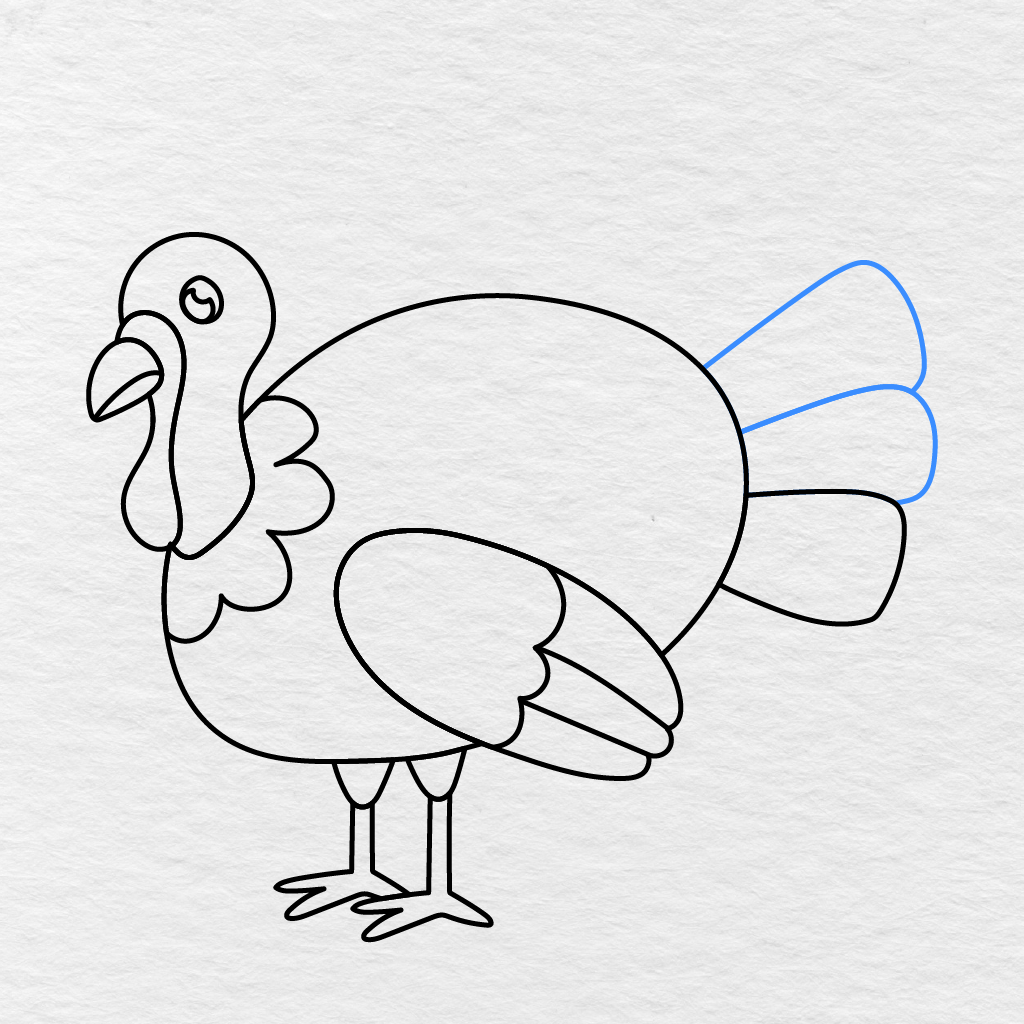 Step 12 Showing Two More Rounded Feathers Added To The Lower Part Of The Turkey’s Tail.