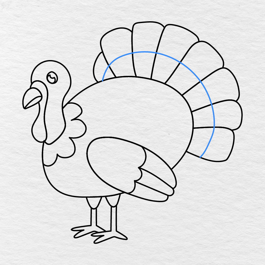 Step 15 Showing A Large Curved Detail Line Added Across The Turkey’s Tail Feathers.