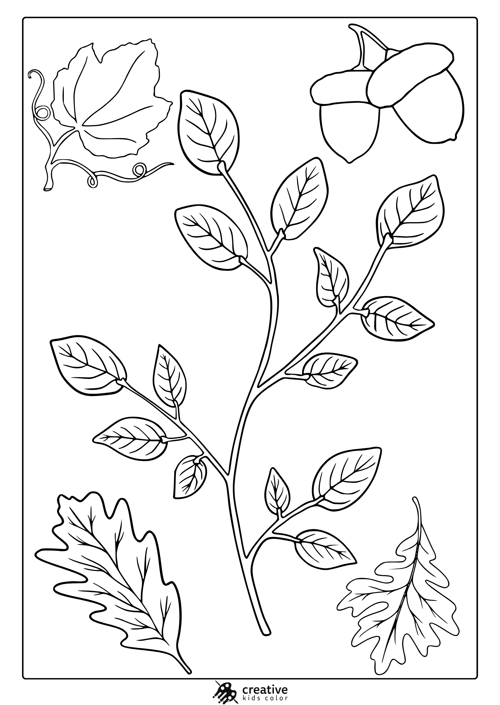 Large November Leaves Coloring Page Showing A Leafy Branch, Grape Leaf, Two Acorns, And Oak Leaves.